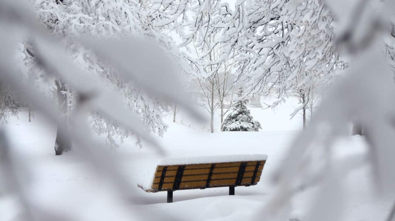 wintertime park bench covered in snow winter season inspiration snowy winter scene